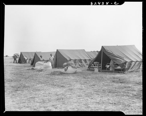 Bridgeton, New Jersey. FSA (Farm Security Administration) agricultural workers' camp. Migrants filling ticks with straw to serve as mattresses