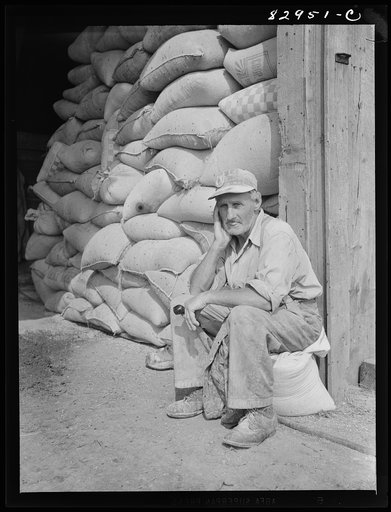 Bridgeton, New Jersey. Seabrook Farm. Worker who has charge of the beef cattle