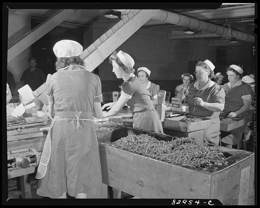 Bridgeton, New Jersey. Seabrook Farm. Packing beans for Birds Eye quick freezing