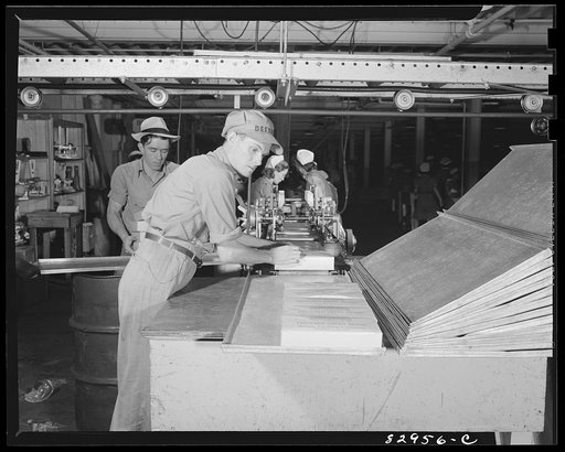 Bridgeton, New Jersey. Seabrook Farm. Packages of string beans on their way to the quick freezer