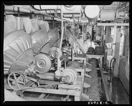 Untitled photo, possibly related to: Bridgeton, New Jersey. Seabrook Farm. Washing beans in the packing house