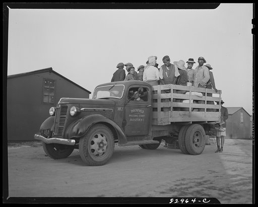 Bridgeton, New Jersey. FSA (Farm Security Administration) agricultural workers' camp. Migrants leaving camp for fields at 5:30 a.m.