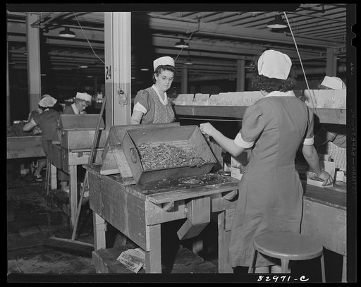 Bridgeton, New Jersey. Seabrook Farm. Packing string beans for quick freezing