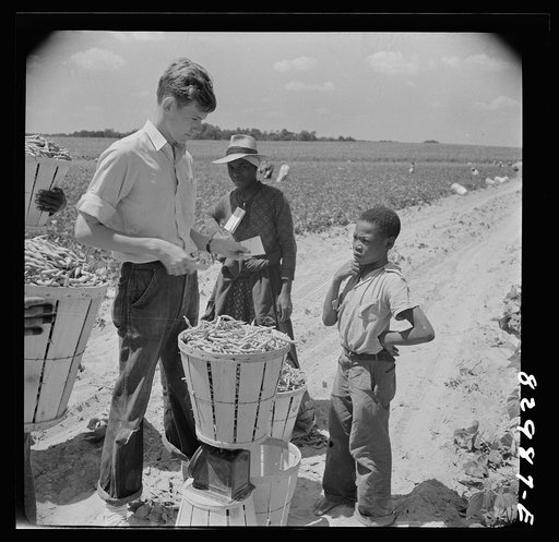 Untitled photo, possibly related to: Bridgeton, New Jersey. Seabrook Farm. Weighing in beans