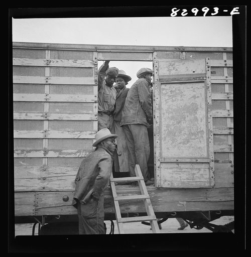 Untitled photo, possibly related to: Bridgeton, New Jersey. FSA (Farm Security Administration) agricultural workers' camp. Migrant leaving camp for the fields at 5:30 a.m.