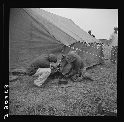Bridgeton, New Jersey. FSA (Farm Security Administration) agricultural workers' camp. Setting up tents