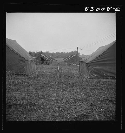 Untitled photo, possibly related to: Bridgeton, New Jersey. FSA (Farm Security Administration) agricultural workers' camp