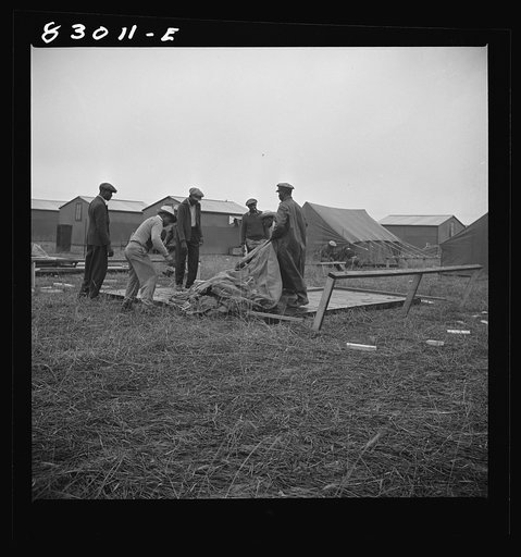 Untitled photo, possibly related to: Bridgeton, New Jersey. FSA (Farm Security Administration) agricultural workers' camp. Setting up tents