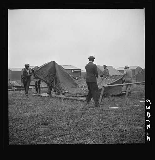 Bridgeton, New Jersey. FSA (Farm Security Administration) agricultural workers' camp. Setting up tents