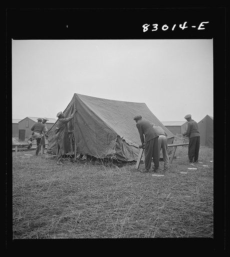 Untitled photo, possibly related to: Bridgeton, New Jersey. FSA (Farm Security Administration) agricultural workers' camp. Setting up tents