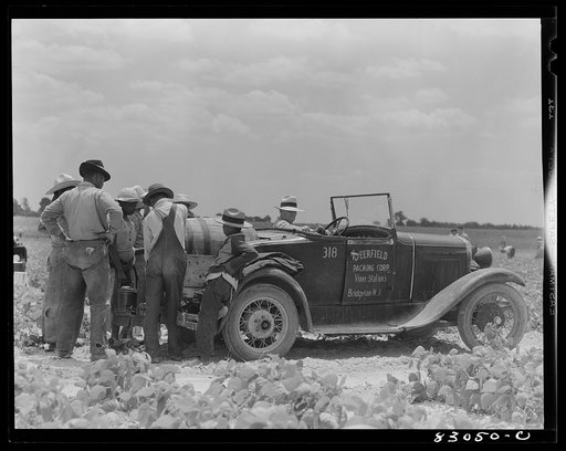 Bridgeton, New Jersey. Seabrook Farm. Water truck for the bean pickers