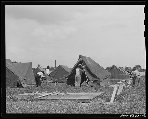 Bridgeton, New Jersey. FSA (Farm Security Administration) agricultural workers' camp. Putting up a tent