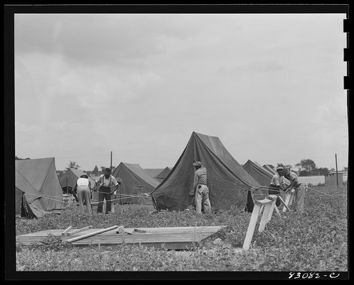 Untitled photo, possibly related to: Bridgeton, New Jersey. FSA (Farm Security Administration) agricultural workers' camp. Putting up a tent