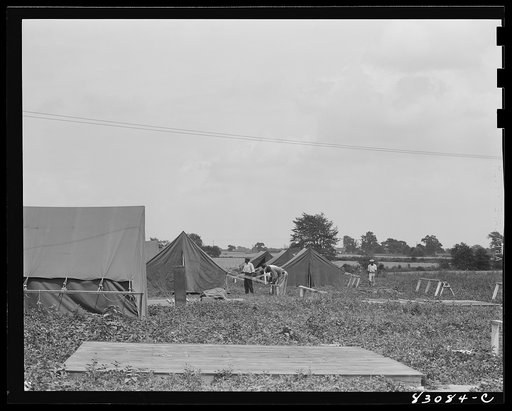 Untitled photo, possibly related to: Bridgeton, New Jersey. FSA (Farm Security Administration) agricultural workers' camp. Putting up a tent