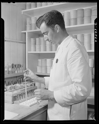 Bridgeton, New Jersey. Seabrook Farm. A chemist making a soil test in the plant laboratory