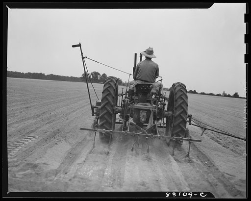 Untitled photo, possibly related to: Bridgeton, New Jersey. Seabrook Farm. Seeding