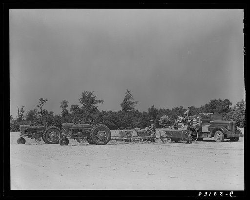 Bridgeton, New Jersey. Seabrook Farm. Spreading chemical fertilizer