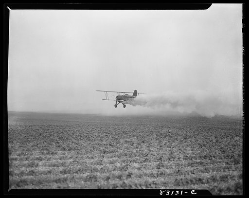 Bridgeton, New Jersey. Seabrook Farm. Dusting with an airplane. Dust or insecticide is spread by low flying planes onto crops to control various insect pests