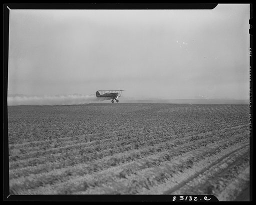 Bridgeton, New Jersey. Seabrook Farm. Dusting with an airplane. Dust or insecticide is spread by low flying planes onto crops to control various insect pests