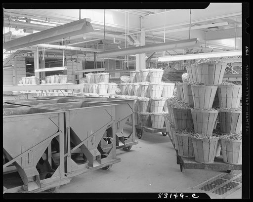 Bridgeton, New Jersey. Seabrook Farm. String beans waiting in packing plant