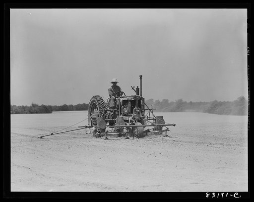 Bridgeton, New Jersey. Seabrook Farm. Seeding