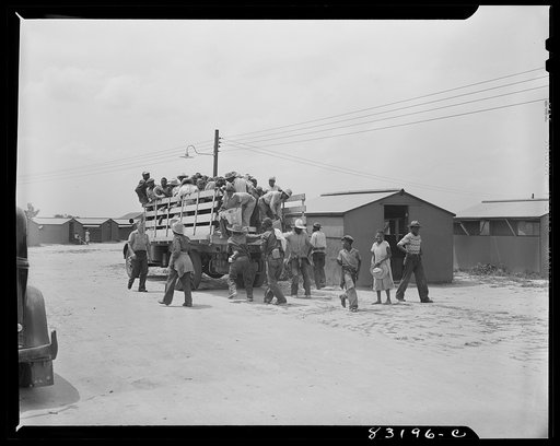 Bridgeton, N.J. FSA (Farm Security Administration) agricultural workers' camp. Workers getting home from the fields