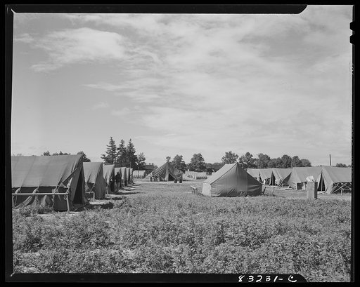 Bridgeton, New Jersey. FSA (Farm Security Administration) agricultural workers' camp