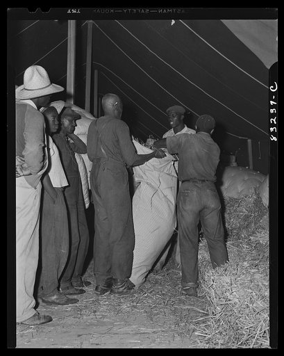 Untitled photo, possibly related to: Bridgeton, New Jersey. FSA (Farm Security Administration) agricultural workers' camp. Filling ticks with straw