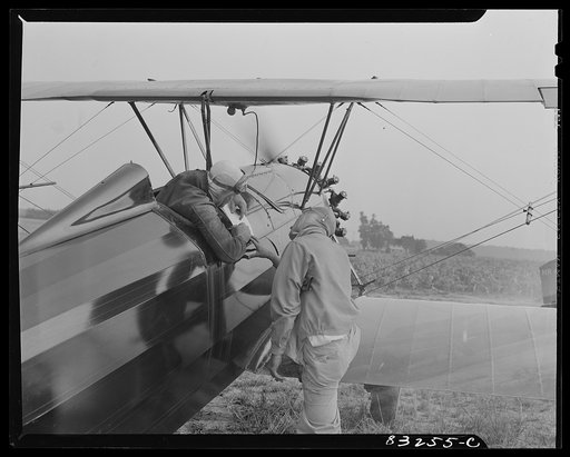 Bridgeton, New Jersey. Seabrook Farm. Pilots studying maps to locate fields for dusting. Dust or insecticide is spread by low flying planes onto crops to control various insect pests