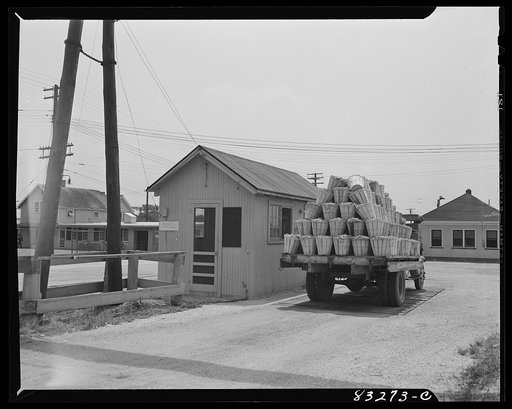 Bridgeton, New Jersey. Seabrook Farm. Truck weighing in before delivering its load to the packinghouse