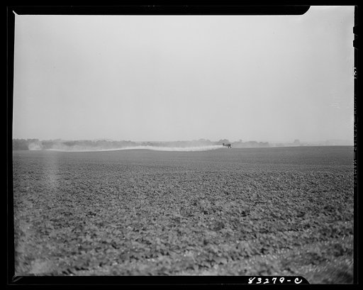 Bridgeton, New Jersey. Seabrook Farm. Dusting by airplane. Dust or insecticide is spread by low flying planes onto crops to control various insect pest