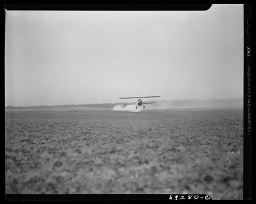 Untitled photo, possibly related to: Bridgeton, New Jersey. Seabrook Farm. Dusting by airplane. Dust or insecticide is spread by low flying planes onto crops to control various insect pest