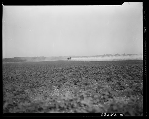 Untitled photo, possibly related to: Bridgeton, New Jersey. Seabrook Farm. Dusting by airplane. Dust or insecticide is spread by low flying planes onto crops to control various insect pest