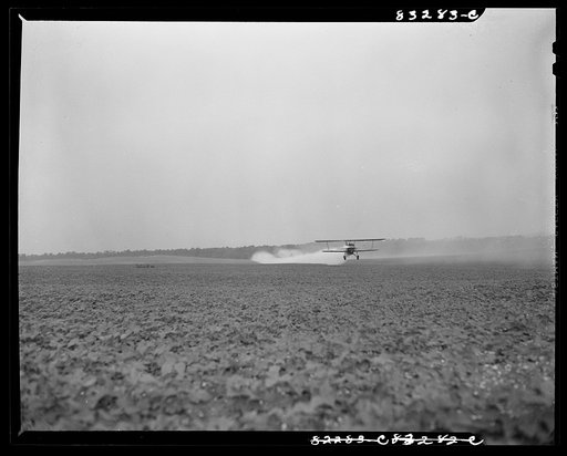 Untitled photo, possibly related to: Bridgeton, New Jersey. Seabrook Farm. Dusting by airplane. Dust or insecticide is spread by low flying planes onto crops to control various insect pest