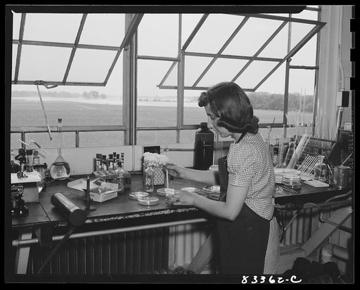 Bridgeton, New Jersey. Seabrook Farm. Worker in the Seabrook laboratory making a bacteriological test on a canned product which was packed at the farm