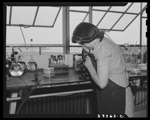 Bridgeton, New Jersey. Seabrook Farm. Worker in the Seabrook laboratory making a bacteriological test on a canned product which was packed at the farm