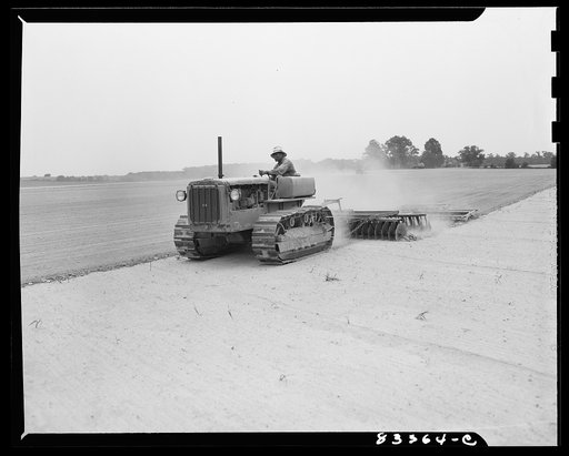 Bridgeton, New Jersey. Seabrook Farm. Cultivating a field