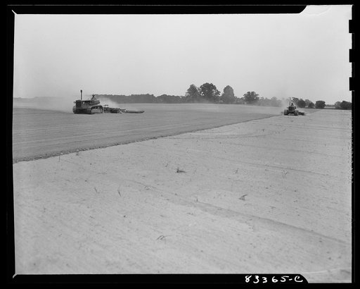 Bridgeton, New Jersey. Seabrook Farm. Cultivating a field