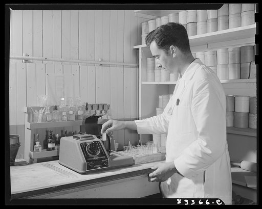 Bridgeton, New Jersey. Seabrook Farm. A chemist making a soil test