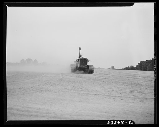 Untitled photo, possibly related to: Bridgeton, New Jersey. Seabrook Farm. Cultivating a field