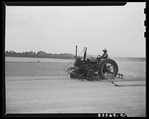 Untitled photo, possibly related to: Bridgeton, New Jersey. Seabrook Farm. Seeding