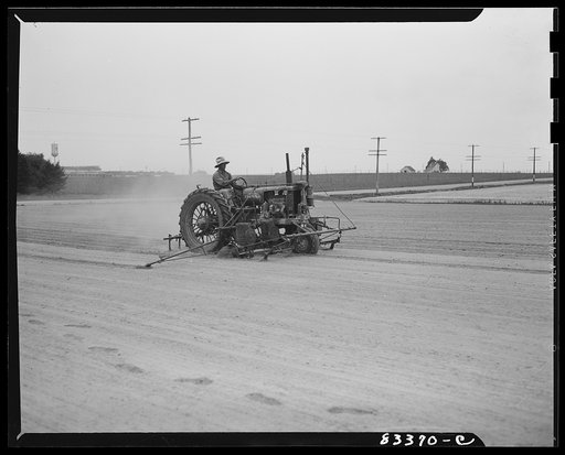 Untitled photo, possibly related to: Bridgeton, New Jersey. Seabrook Farm. Seeding