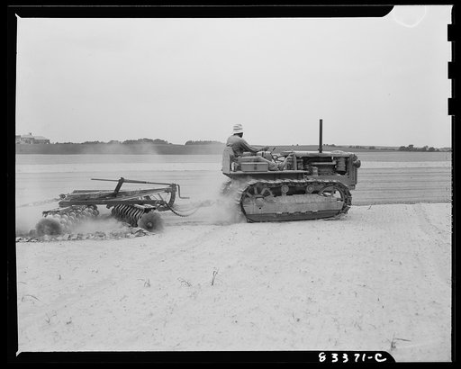Bridgeton, New Jersey. Seabrook Farm. Cultivating a field