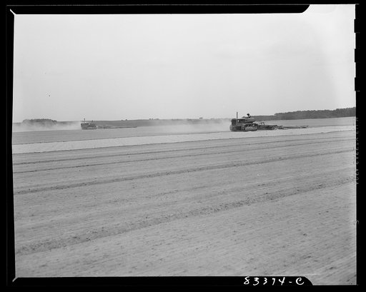Untitled photo, possibly related to: Bridgeton, New Jersey. Seabrook Farm. Cultivating a field