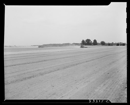 Untitled photo, possibly related to: Bridgeton, New Jersey. Seabrook Farm. Cultivating a field