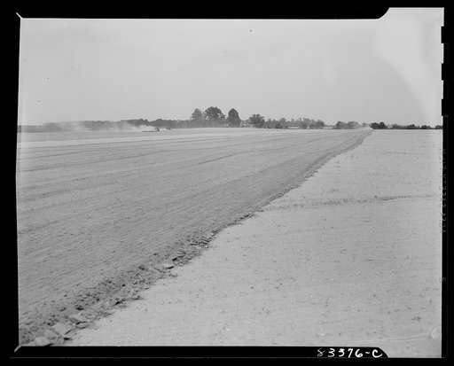 Untitled photo, possibly related to: Bridgeton, New Jersey. Seabrook Farm. Cultivating a field