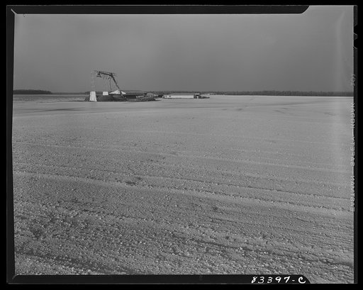 Bridgeton, New Jersey. Seabrook Farm. Plowed field ready for its second crop
