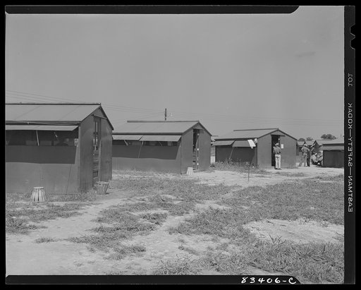 Untitled photo, possibly related to: Bridgeton, New Jersey. FSA (Farm Security Administration) agricultural workers' camp