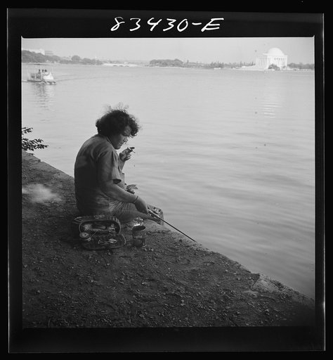 Untitled photo, possibly related to: Washington, D.C. Sunday along the Tidal Basin