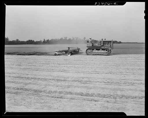 Untitled photo, possibly related to: Bridgeton, New Jersey. Seabrook Farm. Cultivating a field
